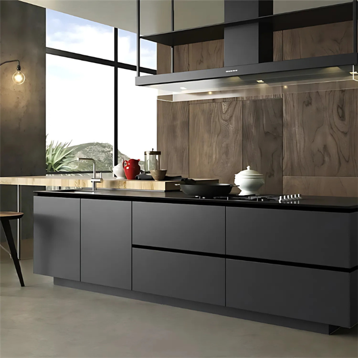 Black Lacquer Kitchen Cabinets suppliers