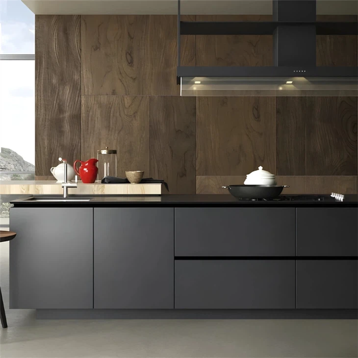 Black Lacquer Kitchen Cabinets